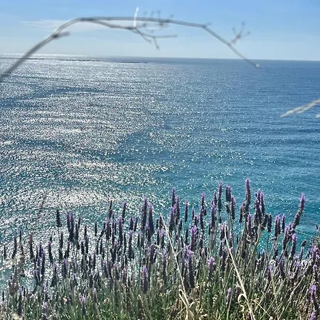 公寓 Brisa Marina, Altea 阿利坎特